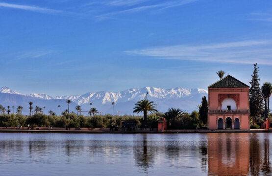 A Culinary Adventure in Marrakech