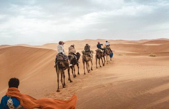 Marrakech Sahara