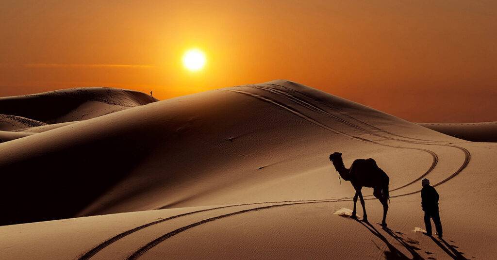 Marrakech desert