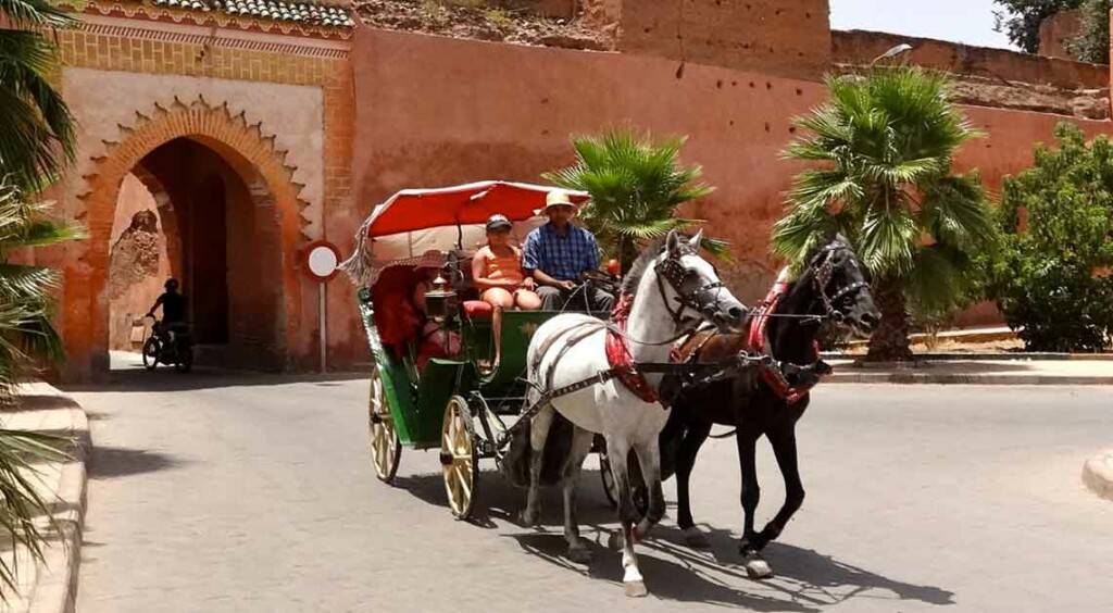 caleches marrakech