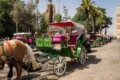 transport marrakech