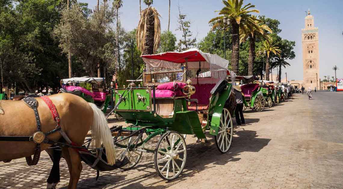 transport marrakech